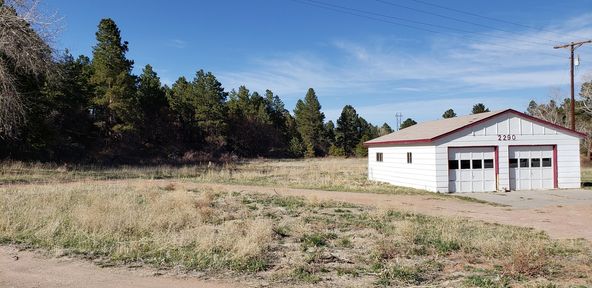 Land For Sale: 2290 Old Ranch Rd, Colorado Springs, CO 80908